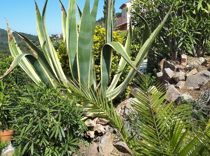 Duplex, Vue Panoramique Sur La Mediterranee, Piscine, Garage 아파트 *