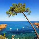 Duplex, Vue Panoramique Sur La Méditerranée, Piscine, Garage * Saint-Raphaël